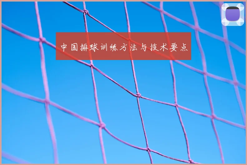 中国排球训练方法与技术要点