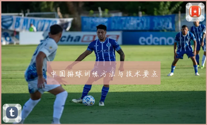 中国排球训练方法与技术要点