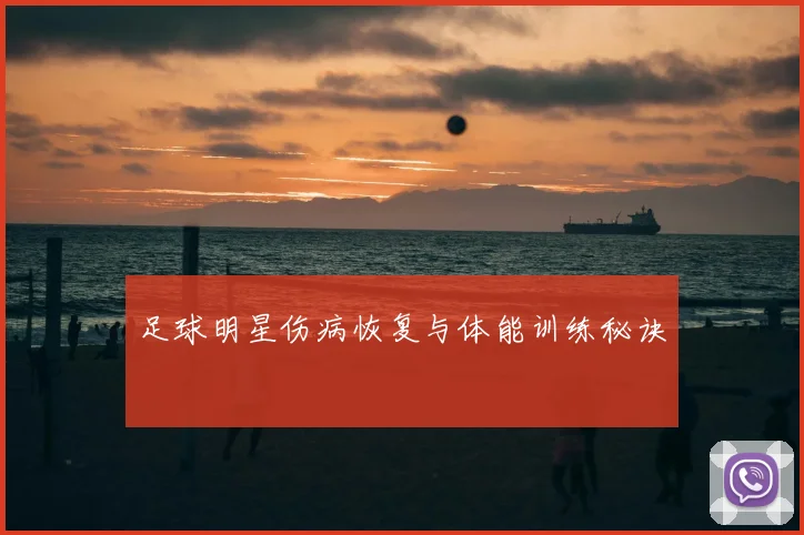 足球明星伤病恢复与体能训练秘诀